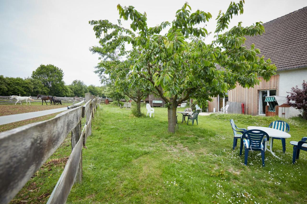 Ferienwohnung Reiterhof Zwei Linden Melle Exterior foto